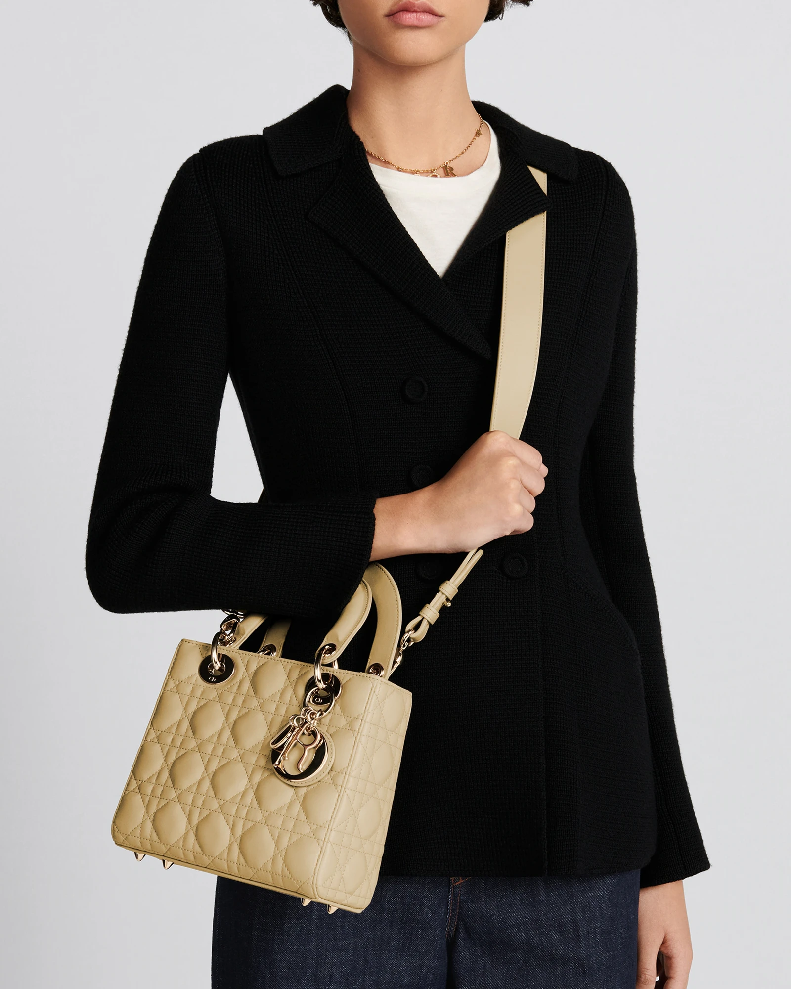 Small Lady Dior My ABCDior Bag!